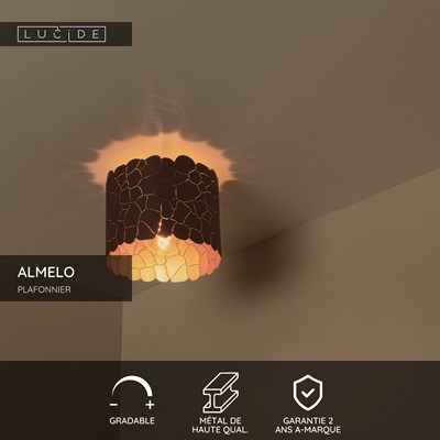 Lucide ALMELO - Plafonnier - Ø 25,5 cm - 1xE27 - Noir